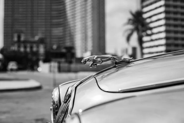 PocketWin Cazino Cazinou Aplicație Android/iOS