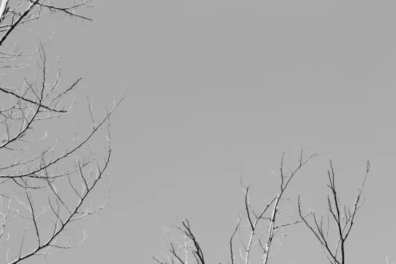 PocketWin Cazino Cazinou Suport